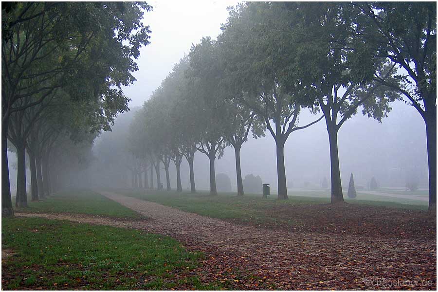 Nebel