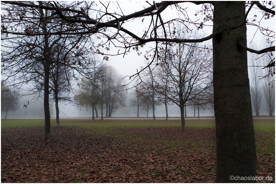 HerbstNebel
