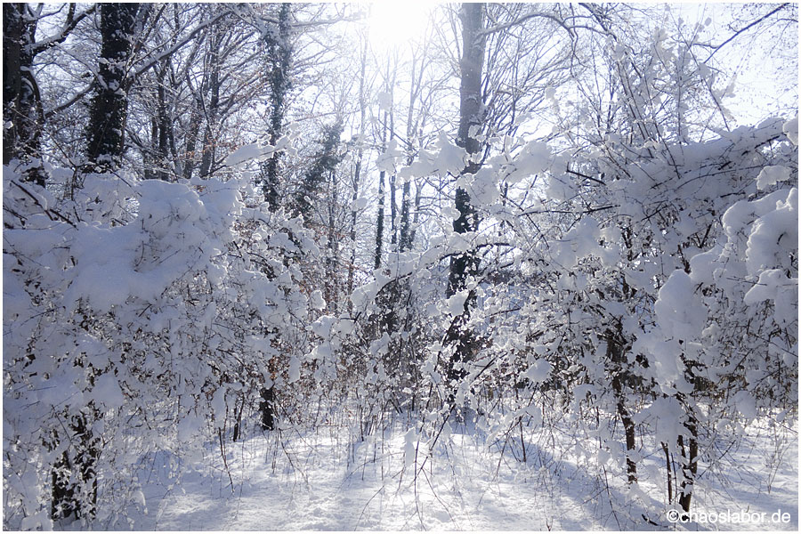 Schneeeee